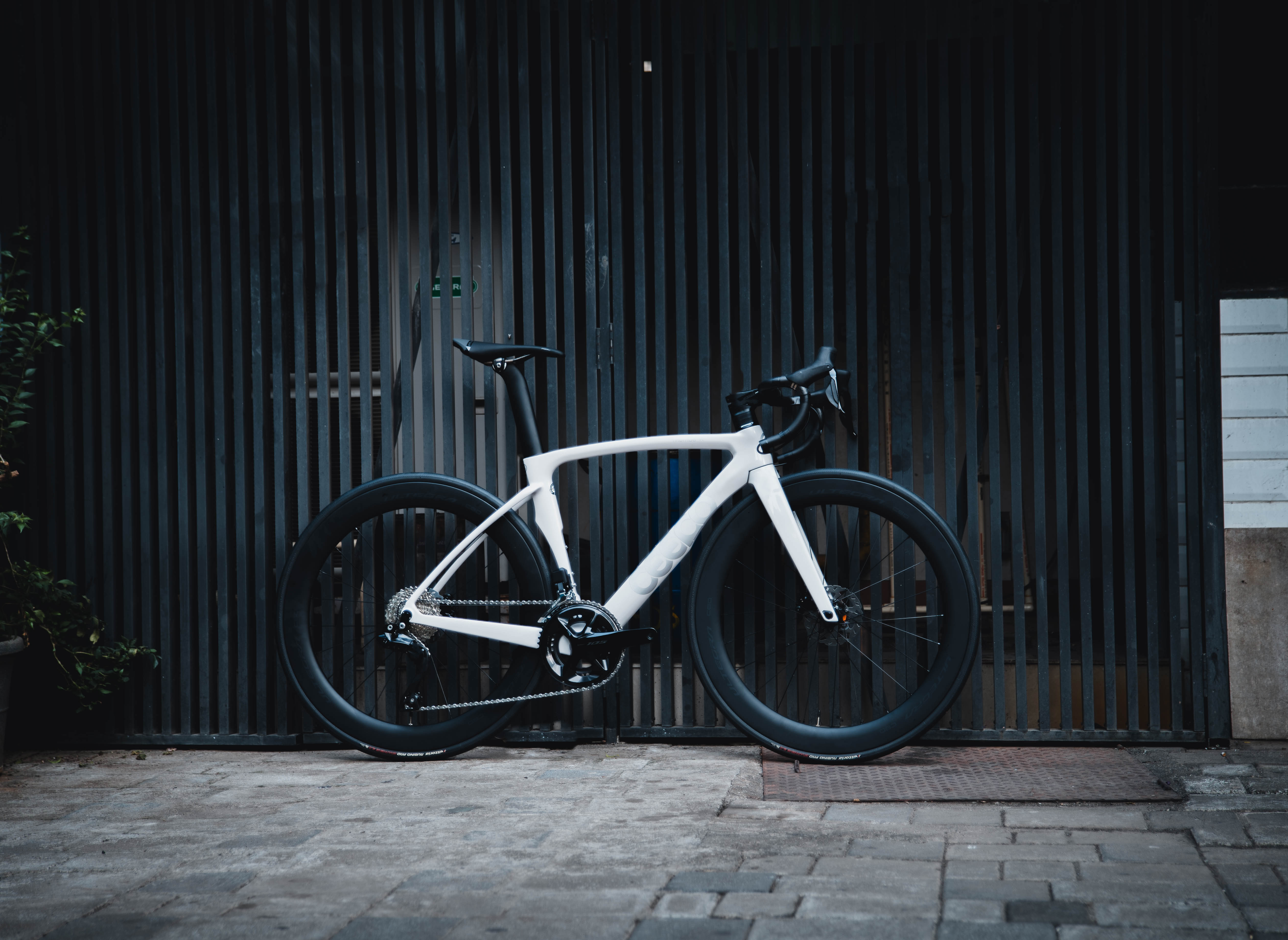 Ceepo Mamba R - White Knight –