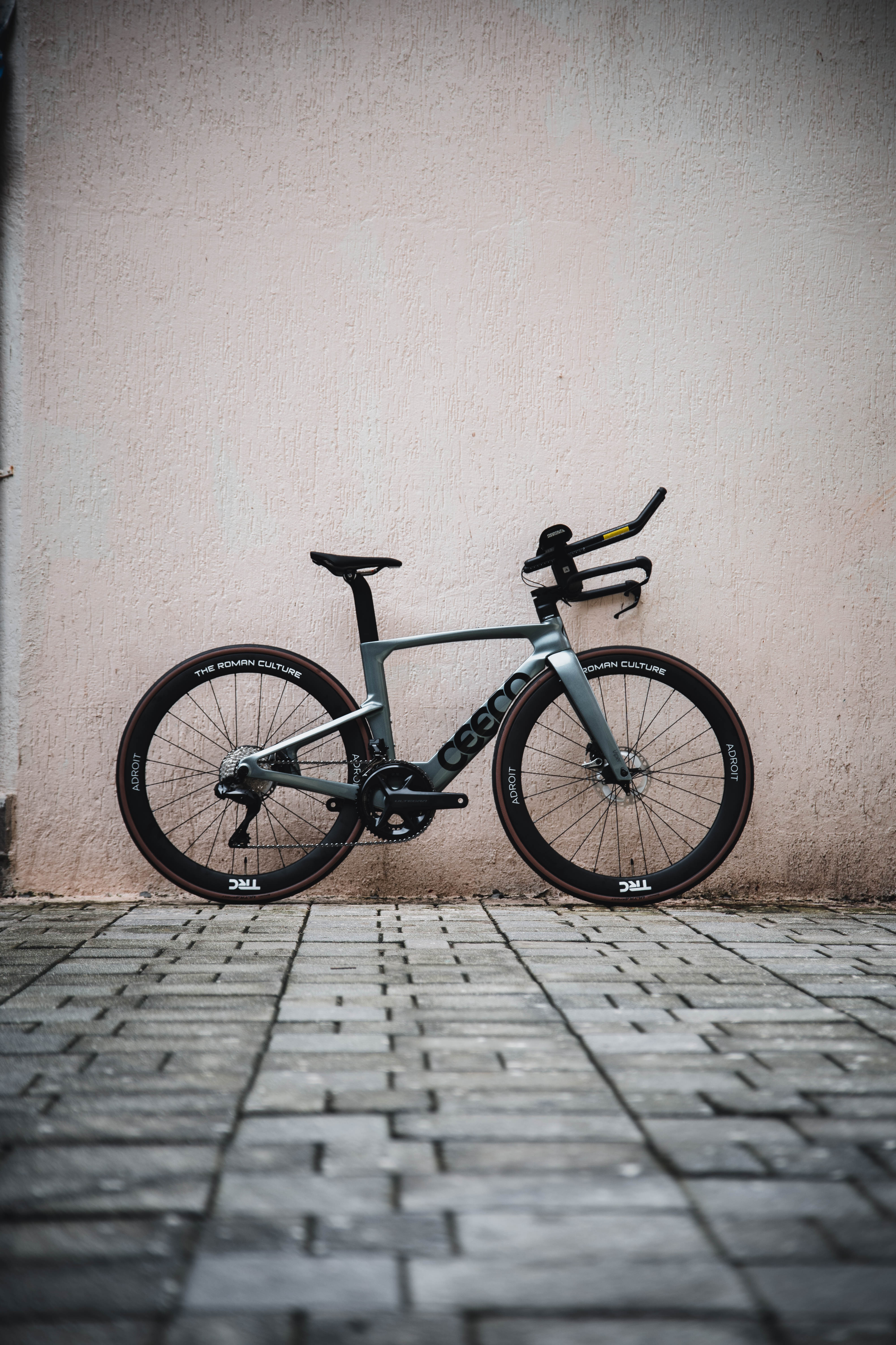 Ceepo Viper Frameset - Quick Silver (For Gold Members Only) –
