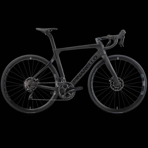 Pinarello endurance hot sale bike